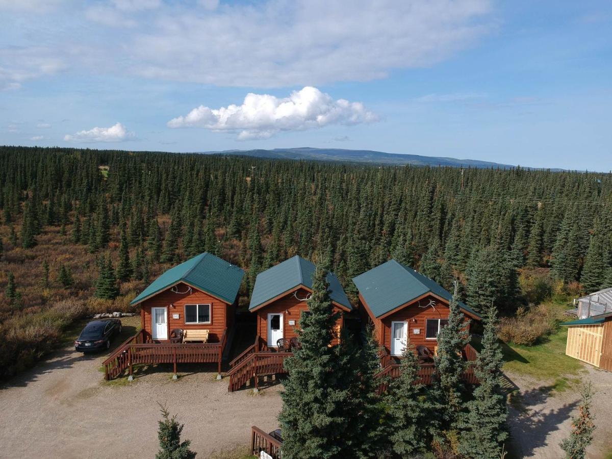 Denali'S Alaskan Spruce Cabins Healy Exterior photo