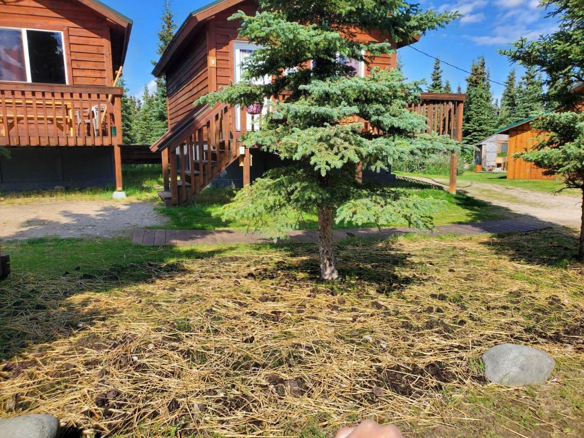Denali'S Alaskan Spruce Cabins Healy Exterior photo