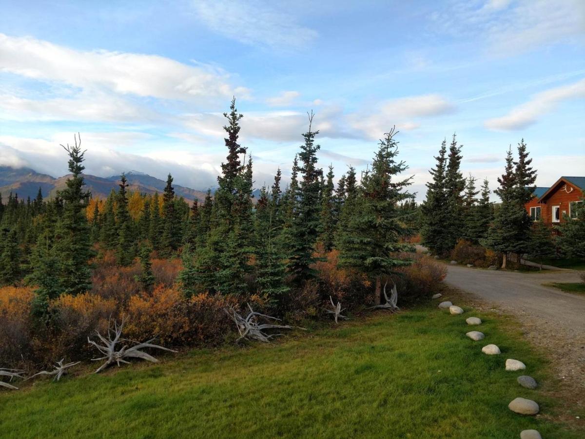 Denali'S Alaskan Spruce Cabins Healy Exterior photo