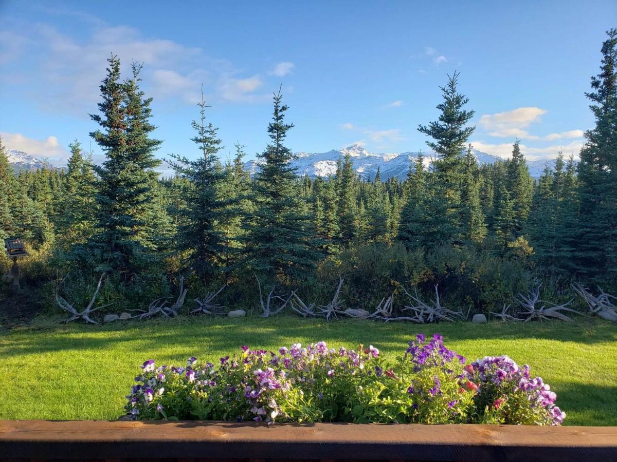 Denali'S Alaskan Spruce Cabins Healy Exterior photo