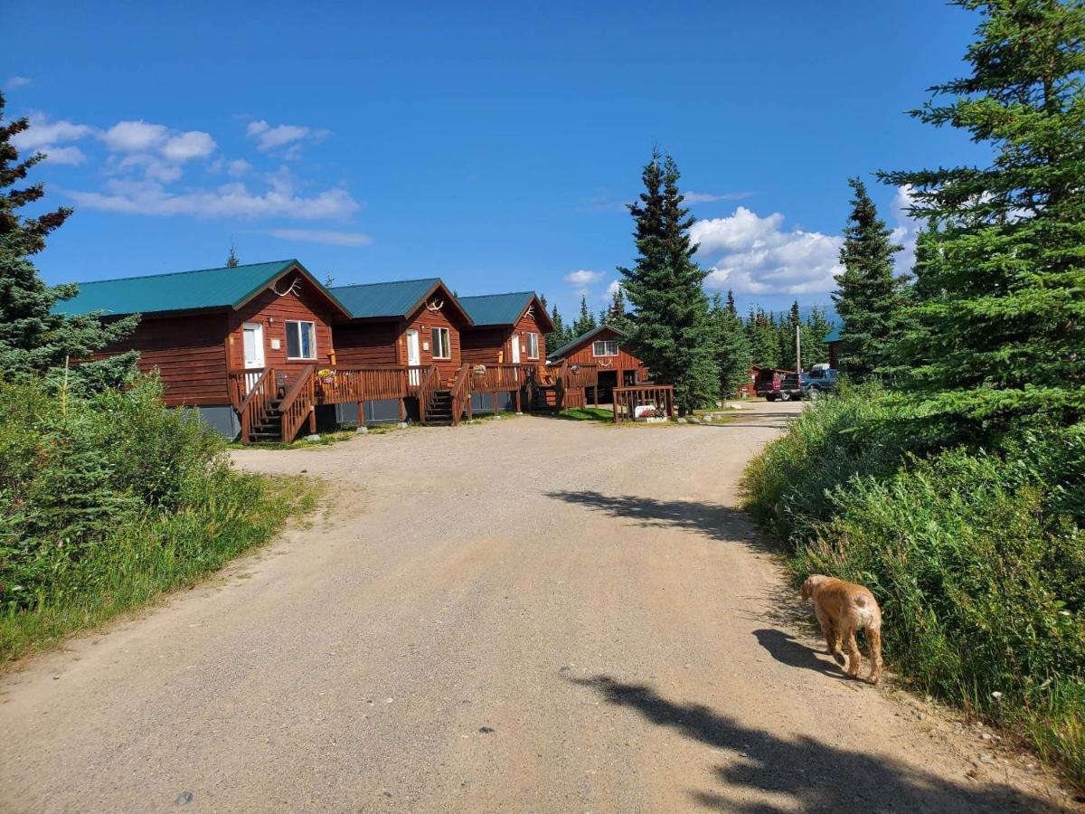 Denali'S Alaskan Spruce Cabins Healy Exterior photo