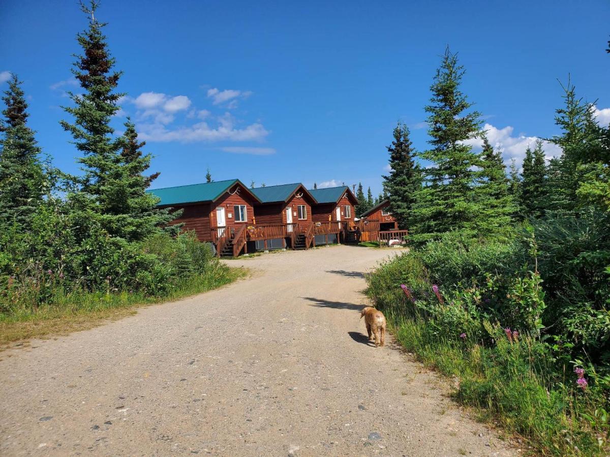Denali'S Alaskan Spruce Cabins Healy Exterior photo