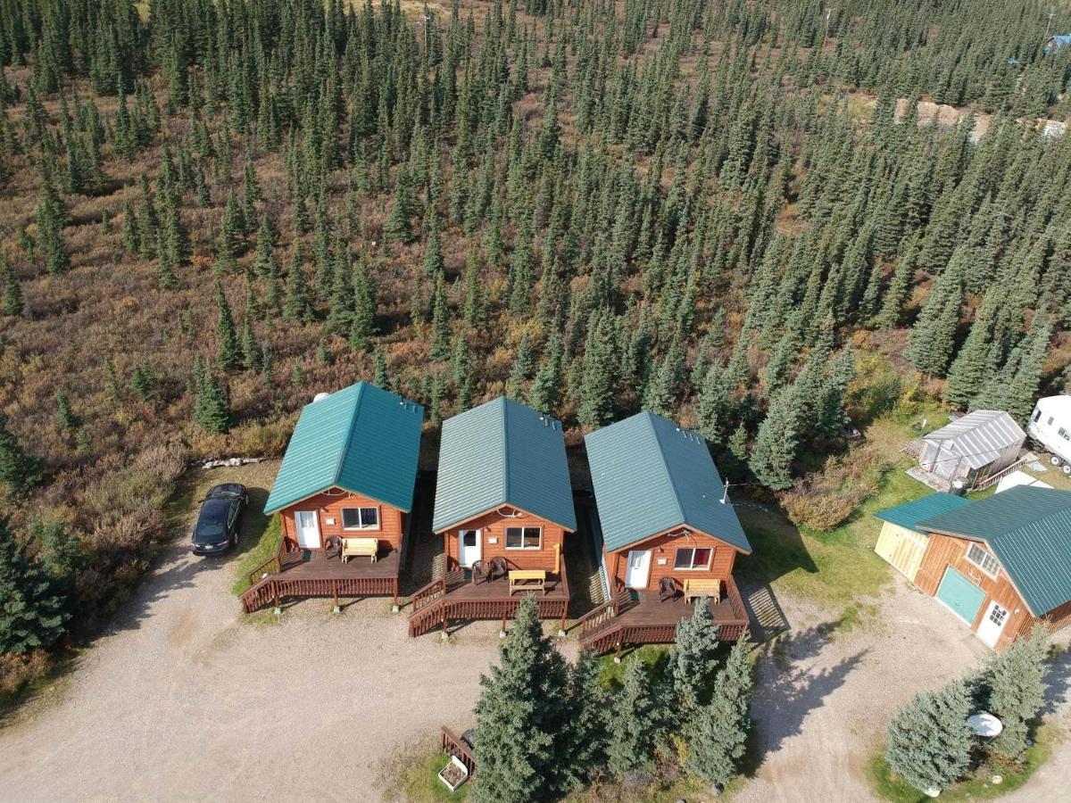 Denali'S Alaskan Spruce Cabins Healy Exterior photo