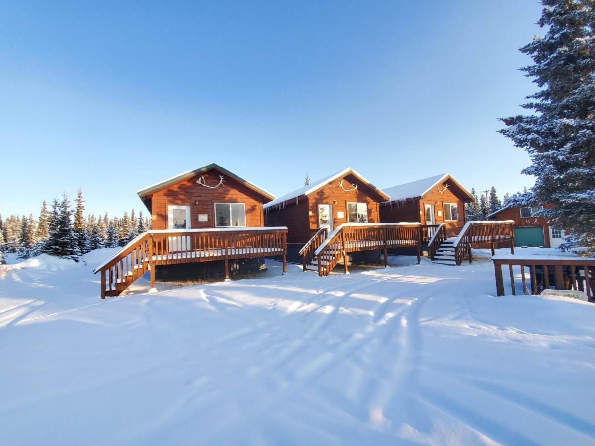 Denali'S Alaskan Spruce Cabins Healy Exterior photo