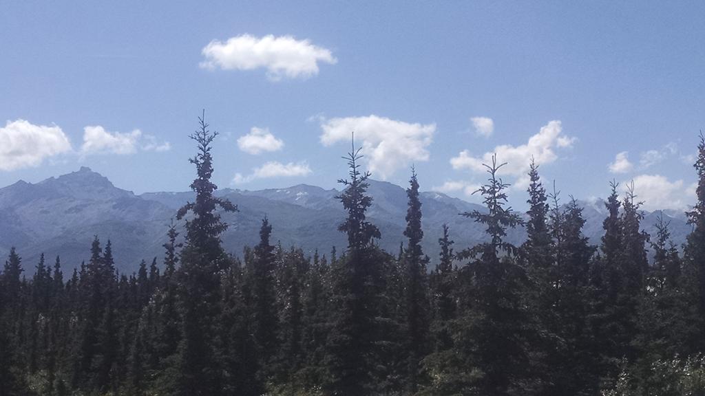 Denali'S Alaskan Spruce Cabins Healy Exterior photo