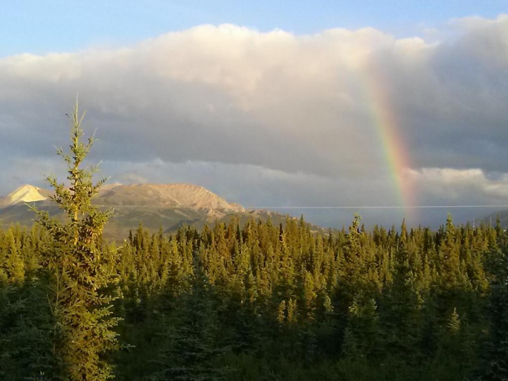 Denali'S Alaskan Spruce Cabins Healy Exterior photo